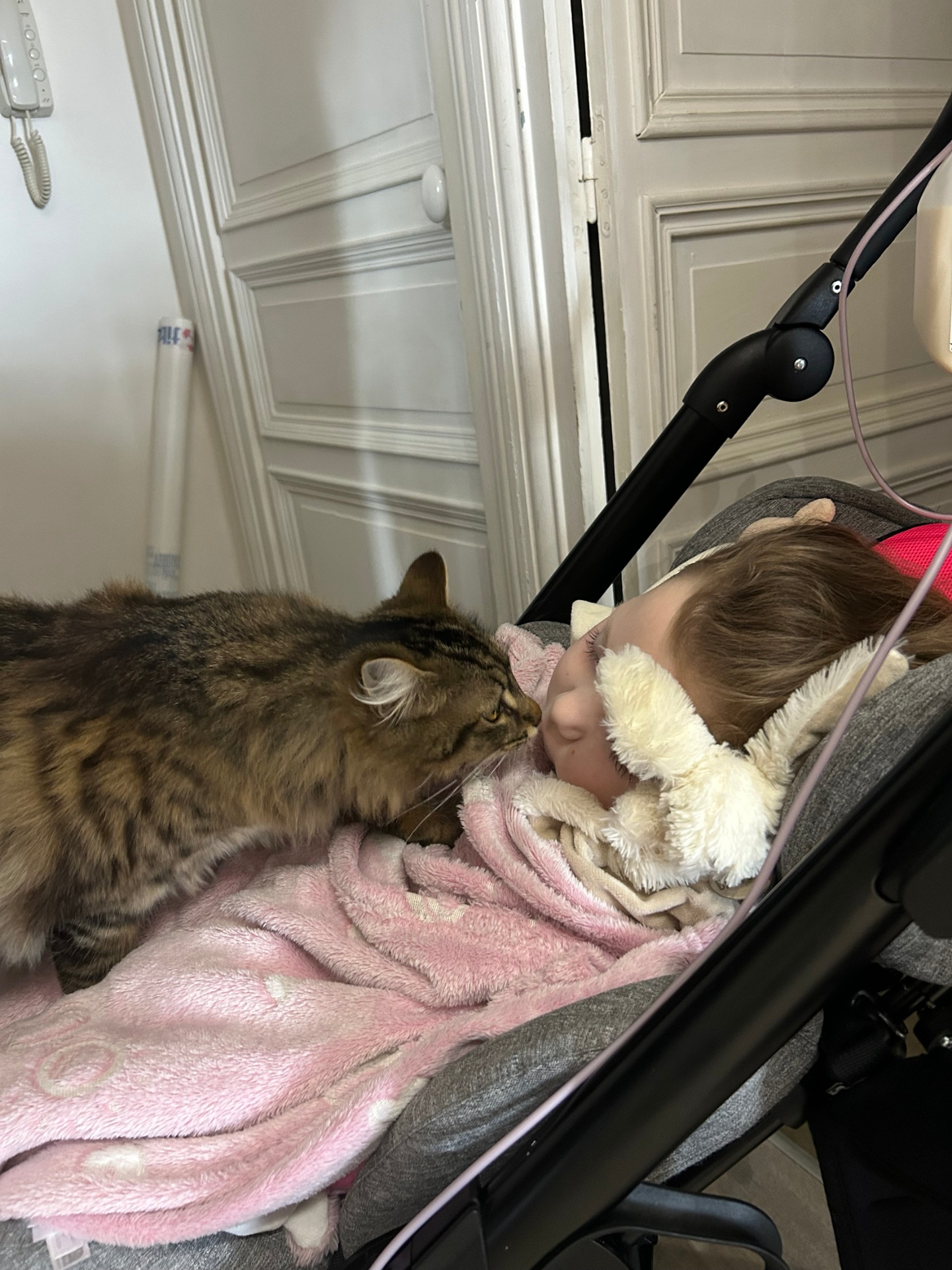 Un câlin du chat à Naëlle